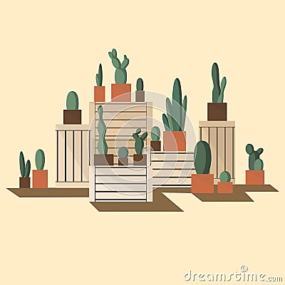 Cactus pots on drawers. Wooden boxes ond house plants. Vector Illustration